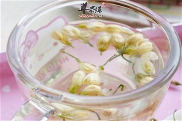 春季喝什么茶好？--茉莉花+菊花