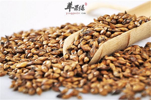 大麦茶是否能瘦身不是谜题