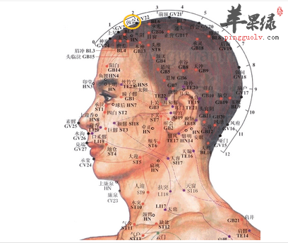 囟會穴穴位位置圖_囟會穴的功效與作用_療法及注意事項