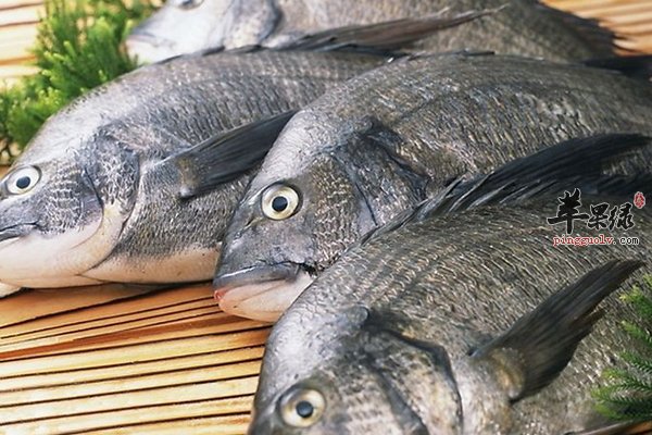 春季养生补脑健脑食物 南瓜、核桃、海带