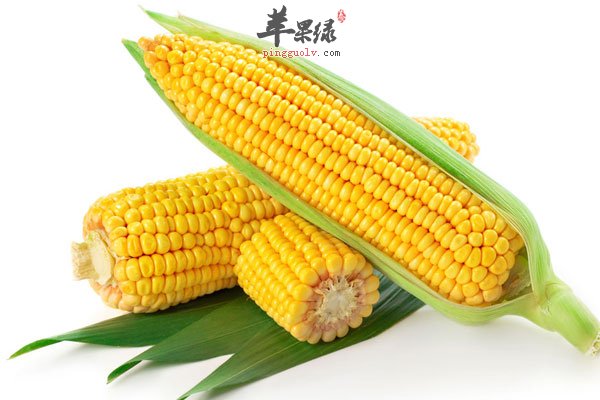吃玉米不仅可以防癌还能美容减肥