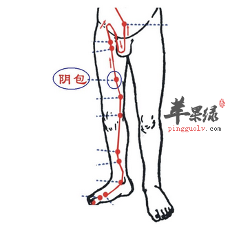 陰包穴穴位位置圖_陰包穴的功效與作用_按摩手法