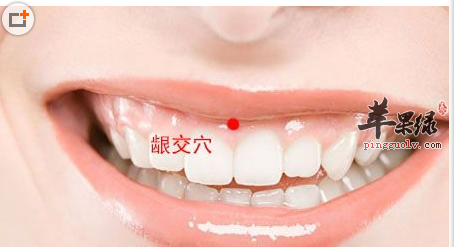 龈交穴穴位位置图