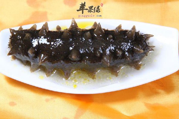 海参优势盘点 补肾固本、提高免疫力