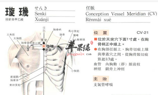 璇玑穴穴位位置图_璇玑穴的功效与作用_按摩手法