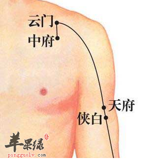 中府穴位位置图