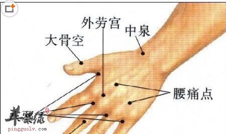 1,針刺層次:皮膚——>皮下組織——>腕背側韌帶(伸肌支韌帶)——>指