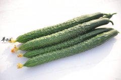黄瓜的食疗作用以及禁忌人群
