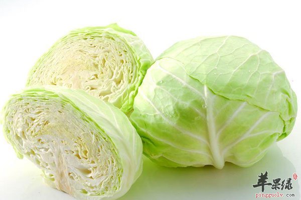 卷心菜食品榜上之王 人人都爱吃