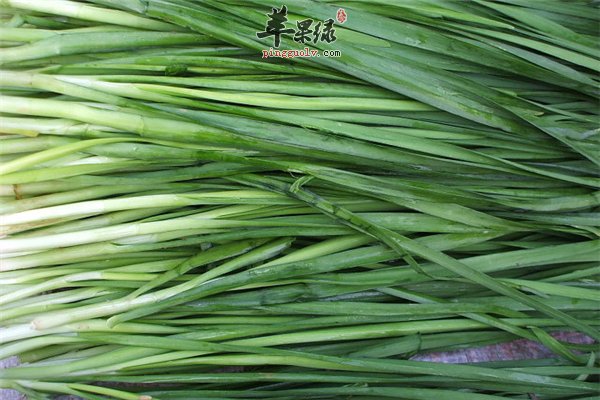 韭菜不与“同食”的食物你一定忽视