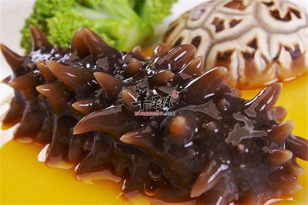 教你海参这样吃更健康【凉拌、炸、煮。蒸】