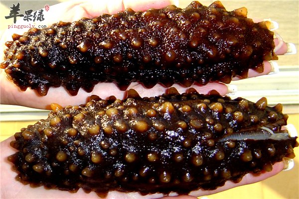 教你海参这样吃更健康【凉拌、炸、煮。蒸】