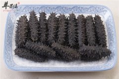 海参中老年人滋阴补血补肾润燥