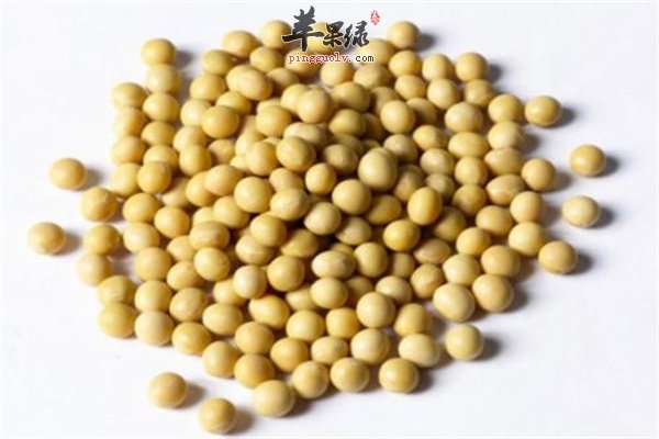 黄豆--补充钙质降脂健脑养胃又减肥