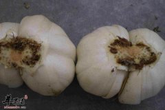 【百合烧汤的做法】大全_食谱