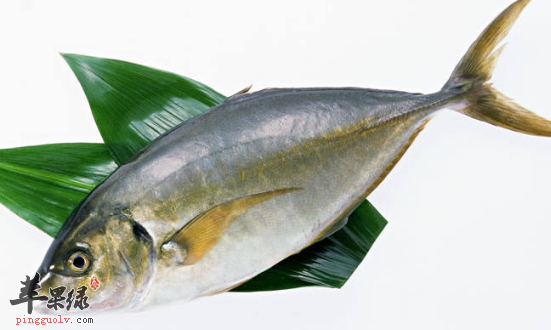 如何辨别鱼是否新鲜