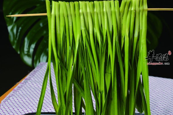 韭菜的吃法以及挑选技巧