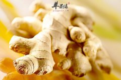 【哪些体质的人不能吃生姜】不宜吃_不适合吃