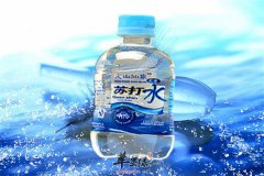 【如何自制苏打水】做法_窍门_怎么做