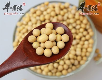 多吃黄豆对我们有着这样的好处