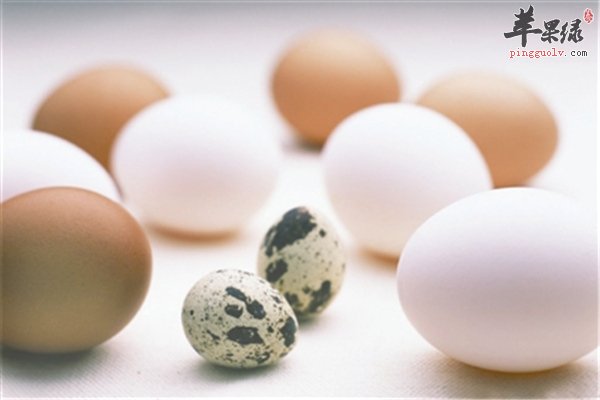 蛋类区分【鸡蛋和鸭蛋的区别】