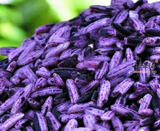紫色食物富含花青素 想不老要经常吃