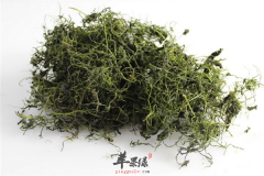 绞股蓝清热解毒调理肠胃抗衰老
