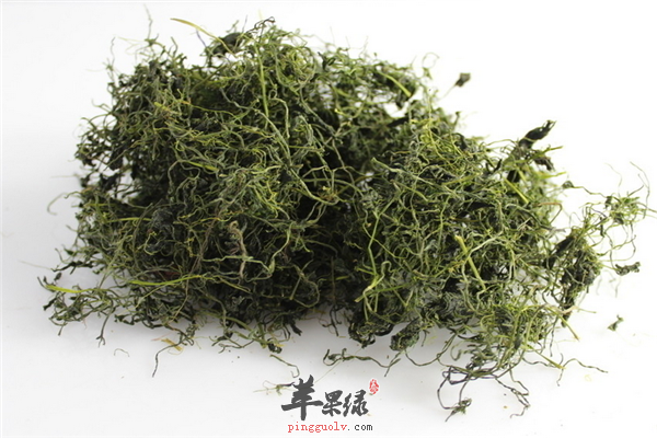 绞股蓝-清热解毒调理肠胃抗衰老