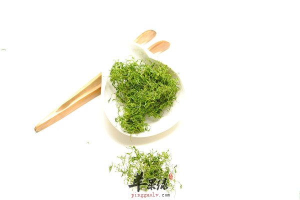 绞股蓝-清热解毒调理肠胃抗衰老