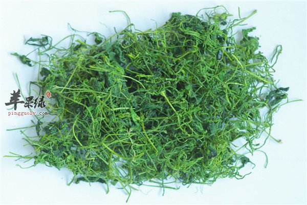 绞股蓝-清热解毒调理肠胃抗衰老
