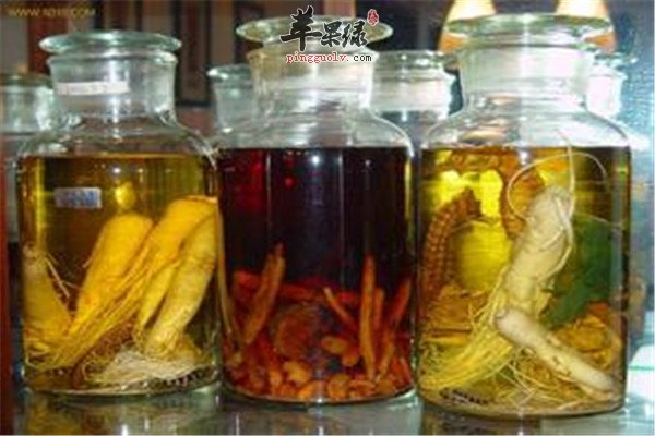 灵芝保健养生【米酒、人参酒、黄酒】