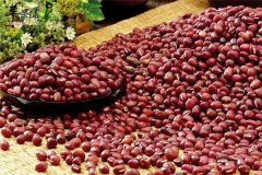 红小豆--促进消化、提供能量、强体力