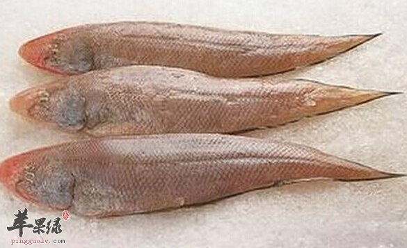 鳎目鱼的营养价值 鳎目鱼的功效与作用 鳎目鱼的做法大全 苹果绿