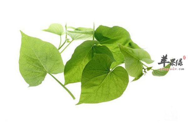 白薯叶也是食材 孕妈妈也能食用