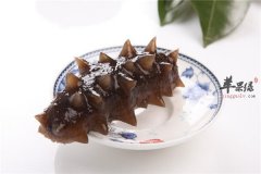 冰冻海参的选购以及食用方法
