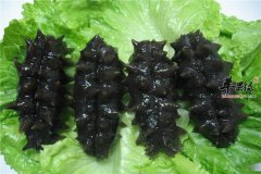 海参营养价值高 哪些人不适宜食用