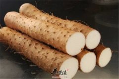 盘点不能与山药同吃的食物有哪些