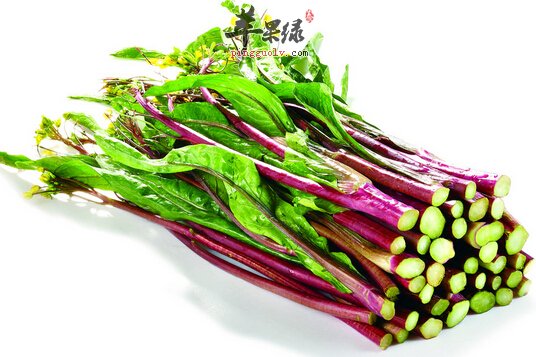 紫菜薹的营养价值及食用方法