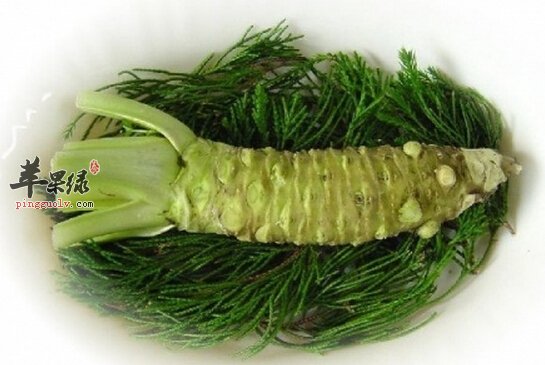 辣根的营养价值及食用方法
