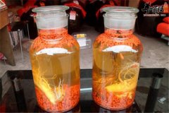 枸杞泡酒喝增强免疫力补气血