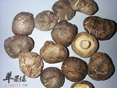 冬菇和花菇如何区别看了这个你就知道了 苹果绿