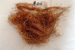 玉米须的食用注意事项和适宜人群