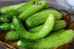 黄瓜也能减肥 快来看看减肥原理
