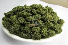 三七花的神奇养生功效以及吃法