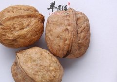 核桃浑身是宝 核桃仁分心木有什么作用