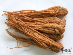 当归对女性有哪些好处 调节补血杀菌