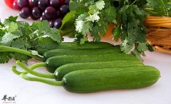 夏季来临多吃黄瓜有哪些好处