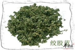 绞股蓝的治病功效要懂得正确搭配