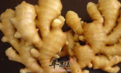 生姜和红糖一起煮水排毒利尿