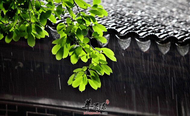 梅雨季节养生吃什么好